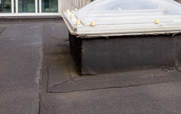 disadvantages of Standerwick flat roofs