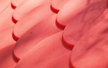 Standerwick plastic roof costs